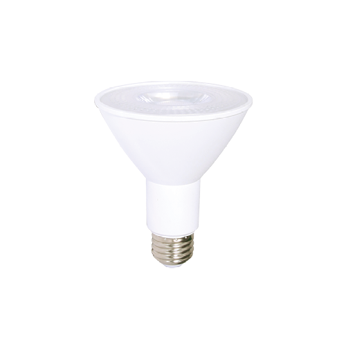 LED Light bulb PAR30 3000K